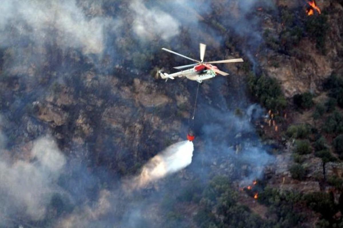 Balık&ccedil;ıların Mangalı 2 Hektar Alanı K&uuml;l Etti