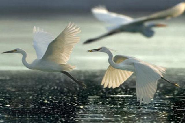 En garip batıl inan&ccedil;lar 62