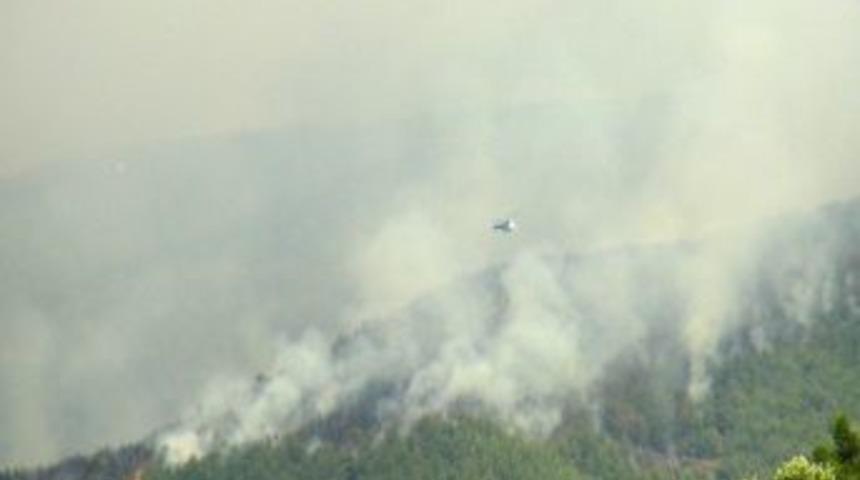 Hatay'daki Orman Yangını Kontrol Altına Alınamıyor