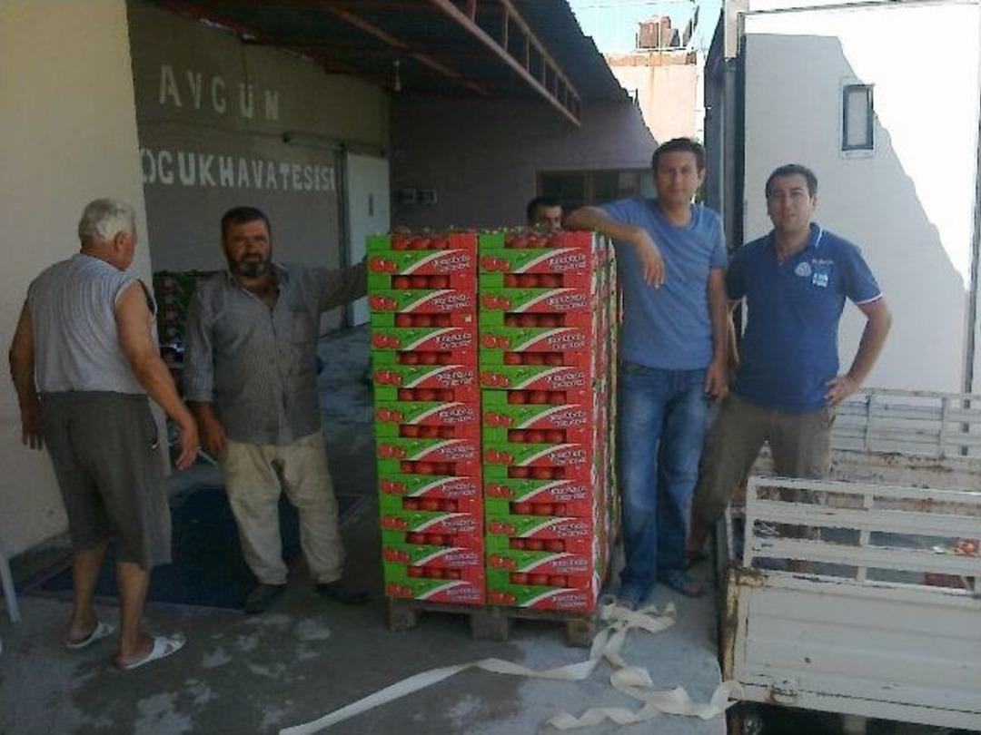 İhracat Başlamayınca Meyveler Marketlere Satılıyor