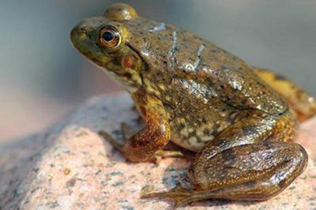 En garip batıl inan&ccedil;lar 65