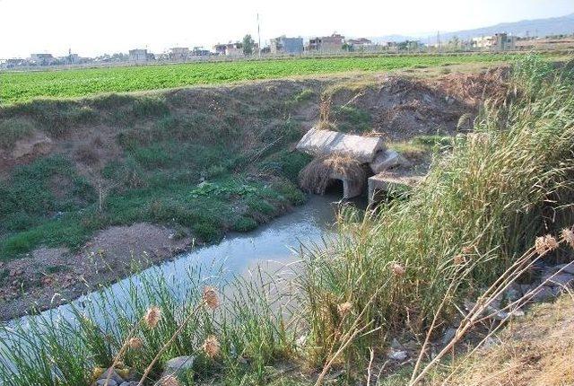&Ccedil;evre M&uuml;d&uuml;rl&uuml;ğ&uuml; Aydın Belediyesi&rsquo;ni Kasten &Ccedil;evreyi Kirletmekten Savcılığa Şikayet Etti 1