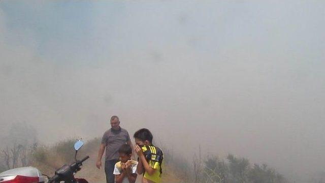 Edremit&rsquo;te Korkutan Yangın (1) 1