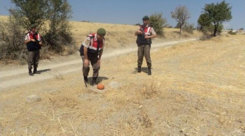 Nato Ve Petrol Boru Hatları Denetlendi