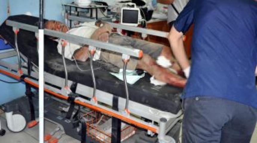 Tunceli'de Silahla Yaralama