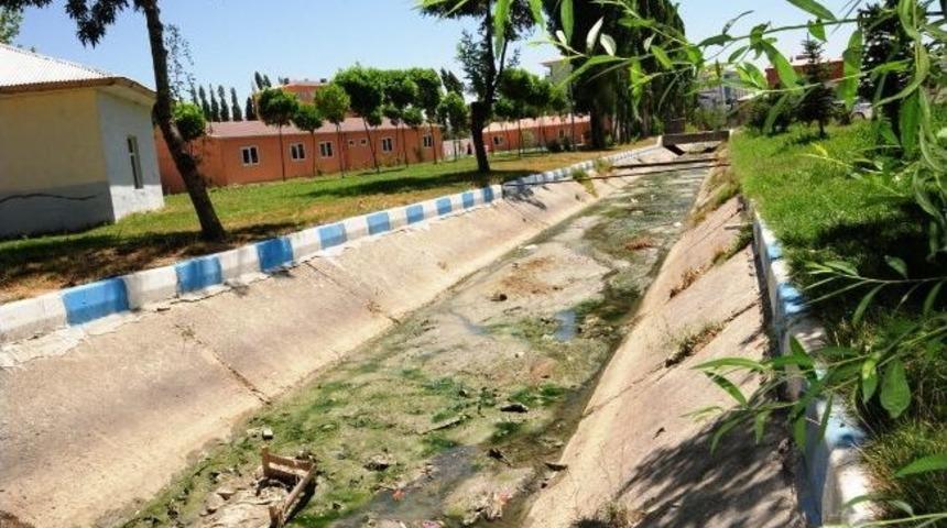 Tarihi Şamran Kanalı &Ccedil;&ouml;pl&uuml;ğe D&ouml;nd&uuml;