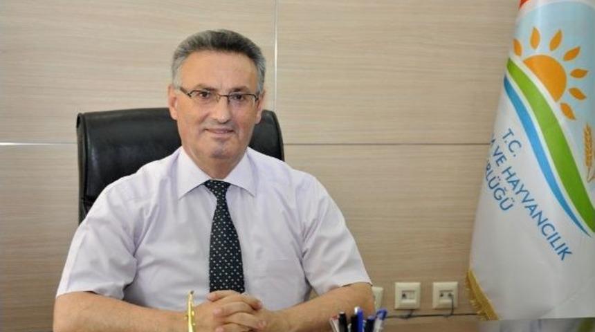 &Uuml;z&uuml;m Sofraya Gelmeden Tarlada Denetleniyor