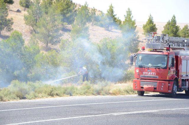 Polis, Eylemcilerin Ceylanpınar’a Girişine Izin Vermedi