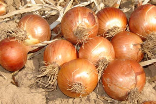 En garip batıl inan&ccedil;lar 84