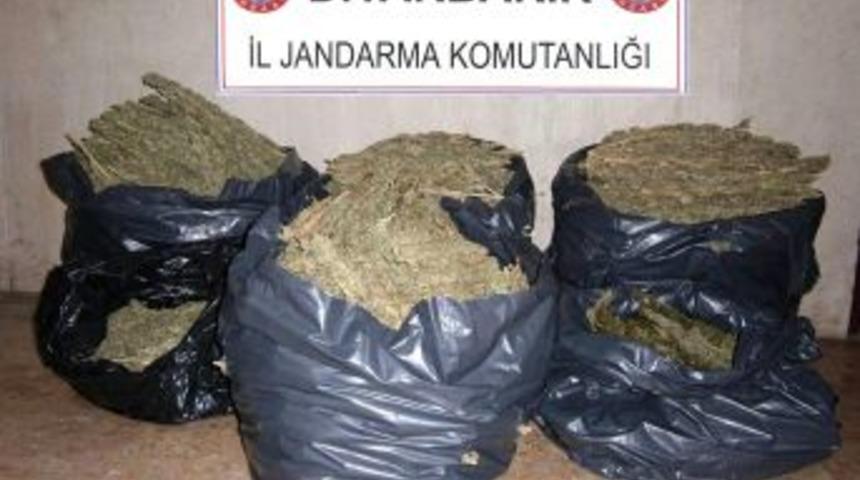 Diyarbakır'da 210 Kilogram Esrar Maddesi Ele Ge&ccedil;irildi