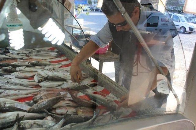 Çandarlı Körfezi’nde Yasak Av Denetimi Tamgaz