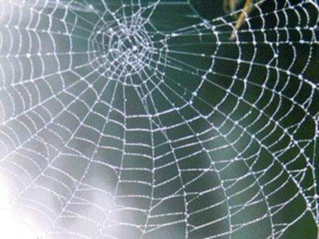 En garip batıl inan&ccedil;lar 87