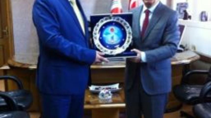 Vali Harput Veda Turunda