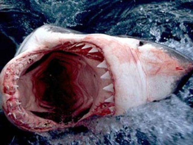 En garip batıl inan&ccedil;lar 96