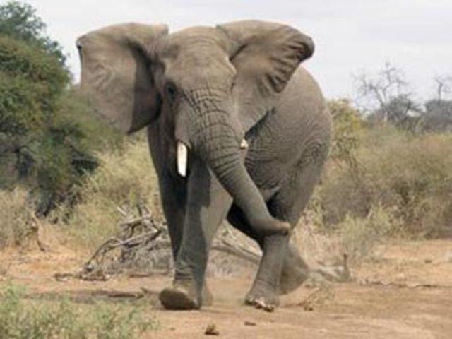 En garip batıl inan&ccedil;lar 100