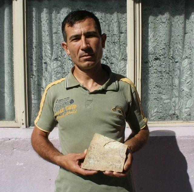 Tarsus ta Bir Vatandaş, Taşın Üzerinde Balık Fosili Buldu 1