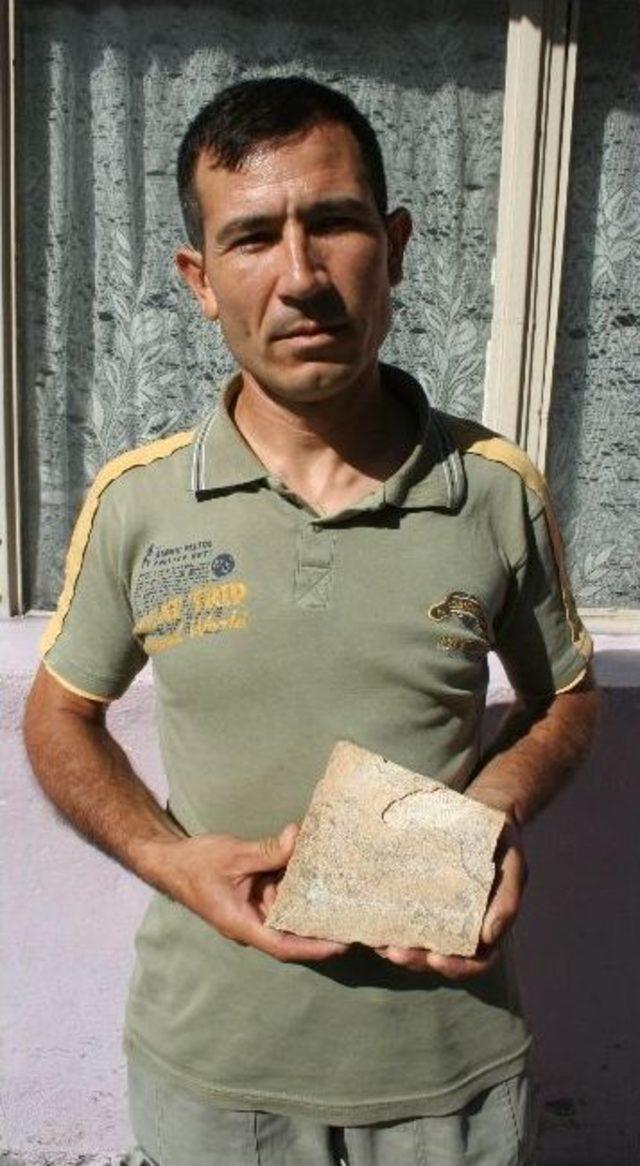 Tarsus ta Bir Vatandaş, Taşın Üzerinde Balık Fosili Buldu 2
