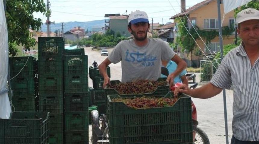 Pazarlar&rsquo;da Vişne Sezonu Sona Erdi