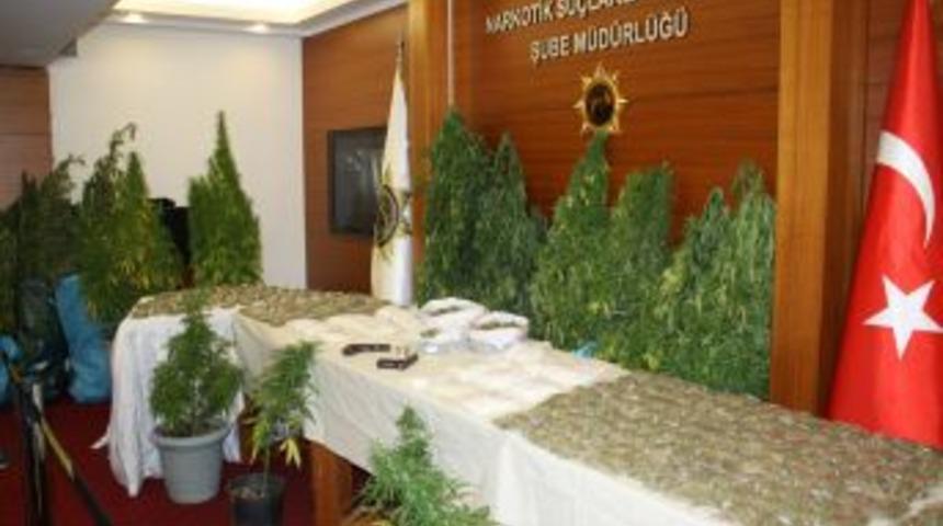 &Uuml;nl&uuml;lerin Uyuşturucu Operasyonundan Boğaz Manzaralı Esrar Tarlası &Ccedil;ıktı