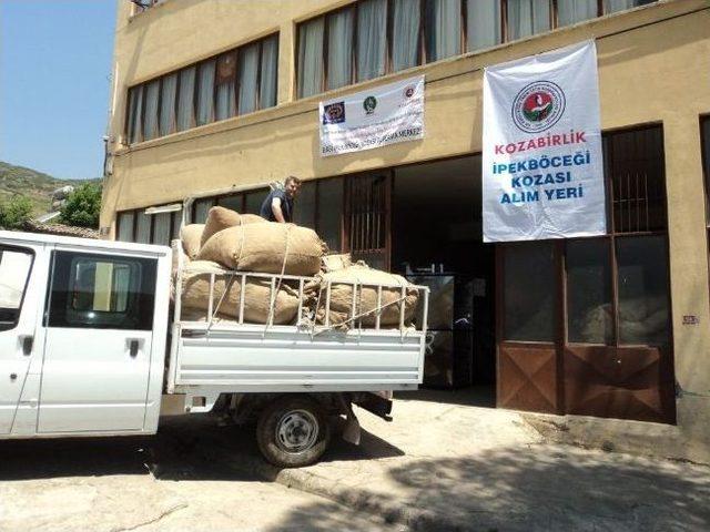 İpekb&ouml;cek&ccedil;iliğinde &Ouml;demiş Farkı 1