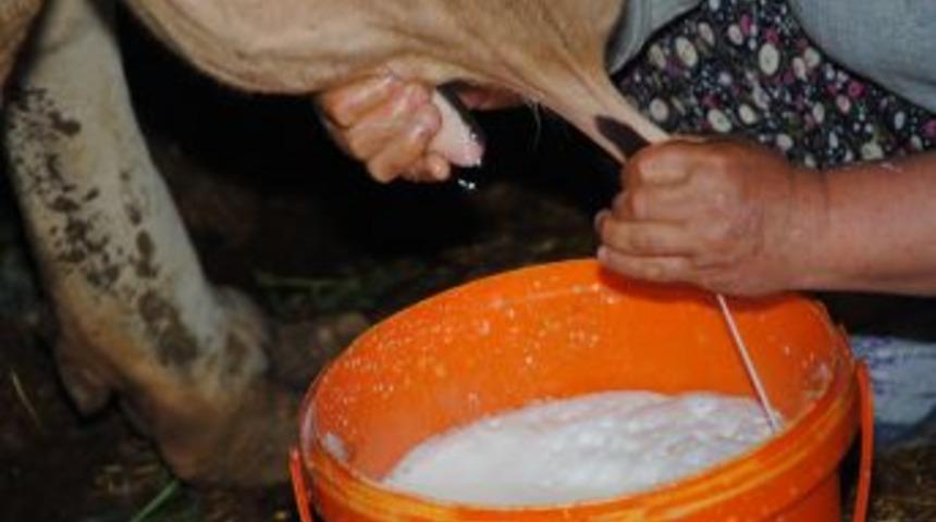 Manavgat'ta S&uuml;t Fiyatları 10 Kuruş Zamlandı