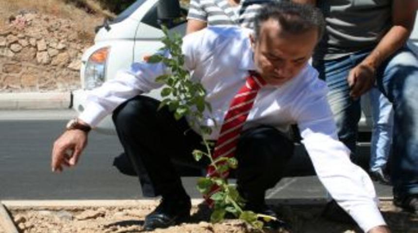 Tunceli Ilk &Uuml;st Ge&ccedil;idine Kavuştu