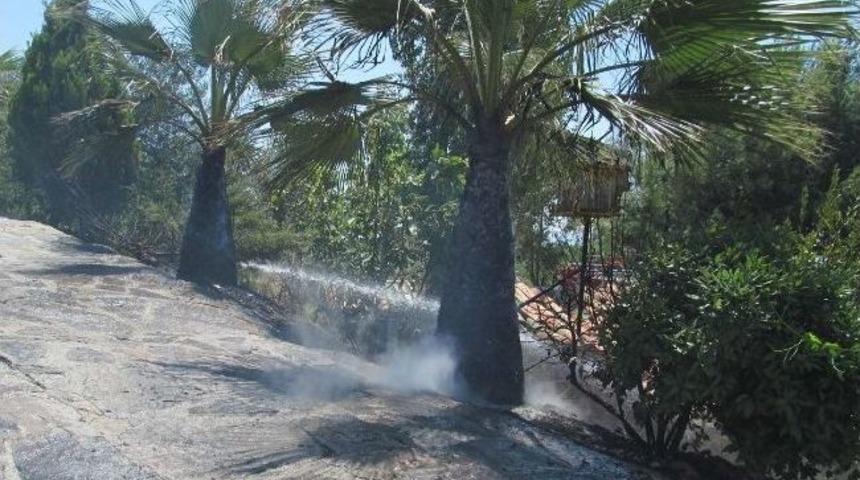 Edremit Mesire Alanında &Ccedil;ıkan Yangın Korkuttu