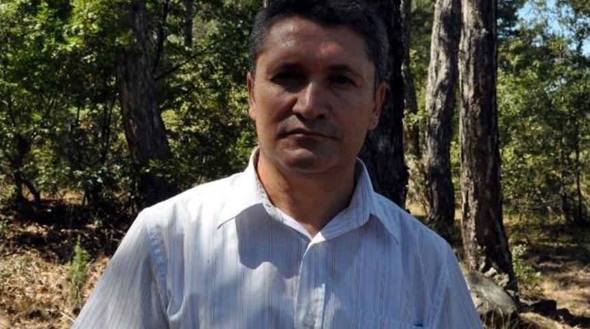 3 Yavru Tilki Doğal Hayata Kavuşturuldu