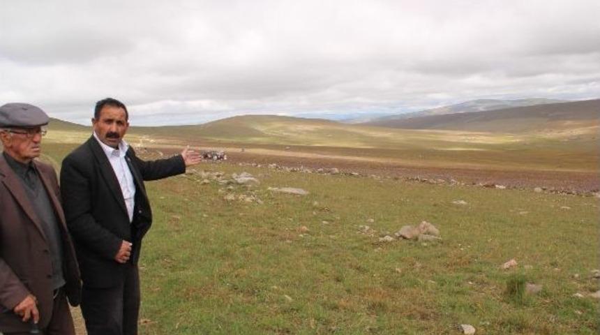 Sarı&ccedil;ayır Bi&ccedil;ilmeye Başlandı