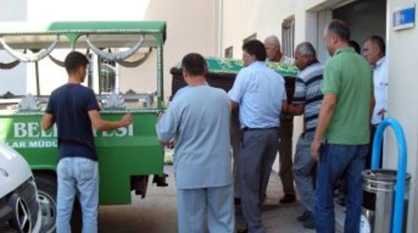 Dut Ağacından D&uuml;şen Adam Hayatını Kaybetti