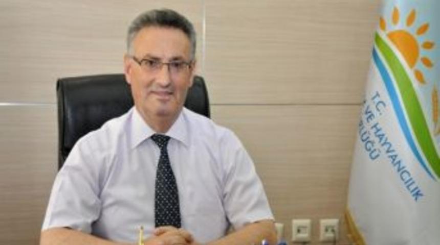 Manisa'da &Ccedil;ekirgeyle M&uuml;cadele