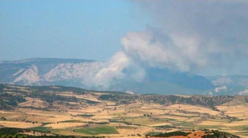 Bilecik'te Orman Yangını