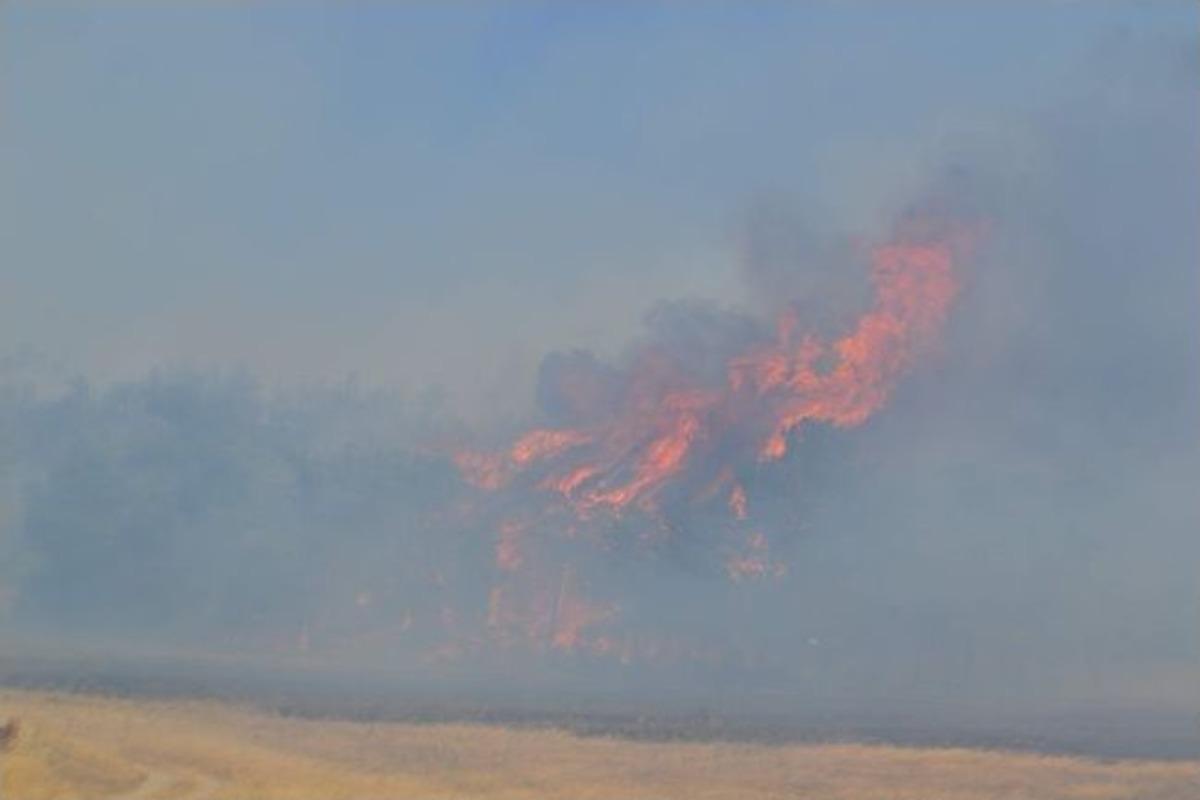Balıkesir'de Orman Yangınına Havadan Ve Karadan M&uuml;dahale Ediliyor
