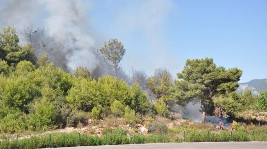 Alanya'da Orman Yangını