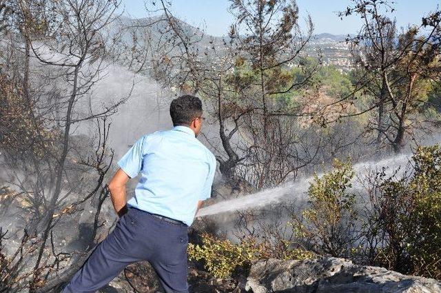 Alanya'da Orman Yangını