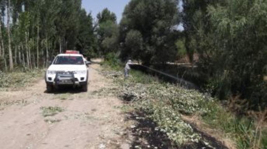 Haşerelerle Etkin M&uuml;cadele Devam Ediyor