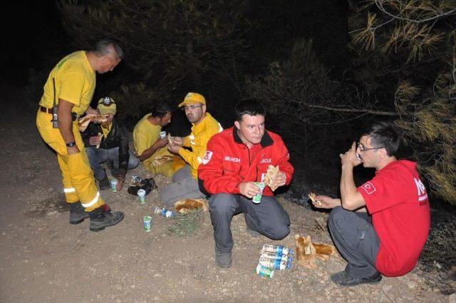 Bilecik'teki Orman Yangını