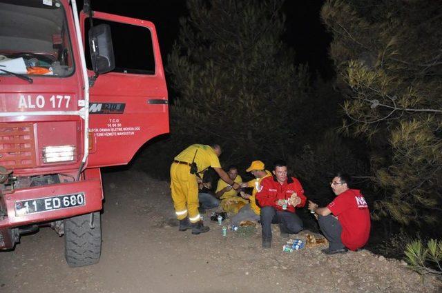 Bilecik'teki Orman Yangını