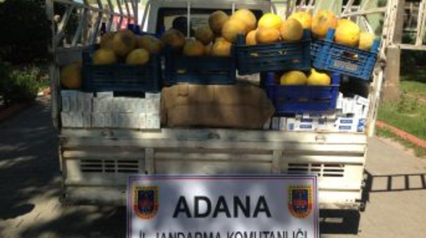 Kavun Kasalarının Arasında Sigara Sevkiyatı Jandarmaya Takıldı