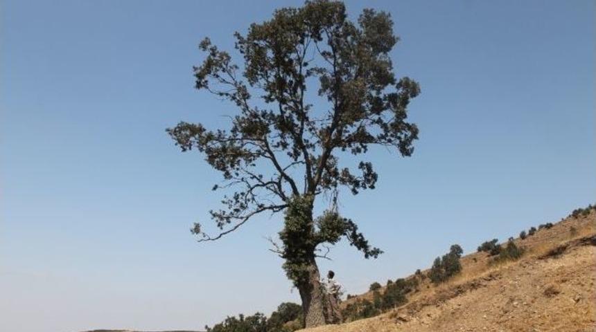 &Ouml;demiş-salihli Arasındaki Yol Yapım &Ccedil;alışmalarına Ara Verildi