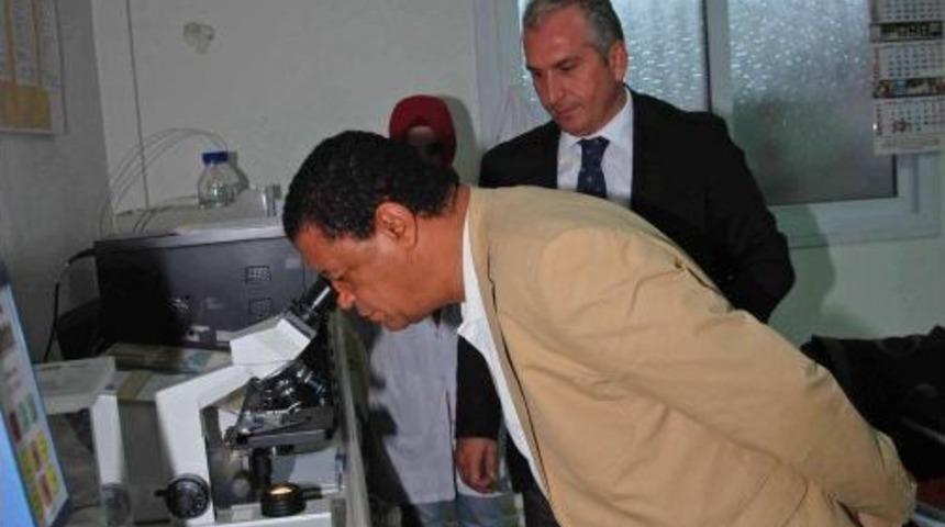 Etiyopya B&uuml;y&uuml;kel&ccedil;isi: Yatırımcılara Ciddi Avantajlar Sunuyoruz