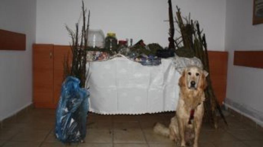 Jandarmadan Uyuşturucu Operasyonu