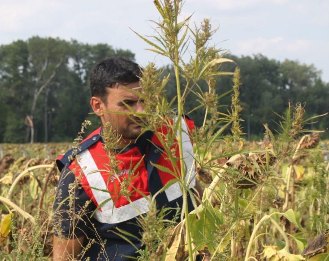 Kamuya ait arazide hintkeneviri ele ge&ccedil;irildi