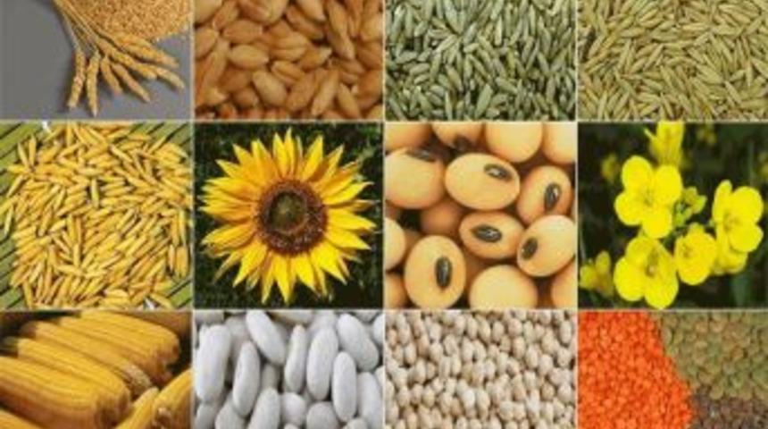 Yağlı Tohumlar Fark &Ouml;demesi Tarihleri Uzatıldı