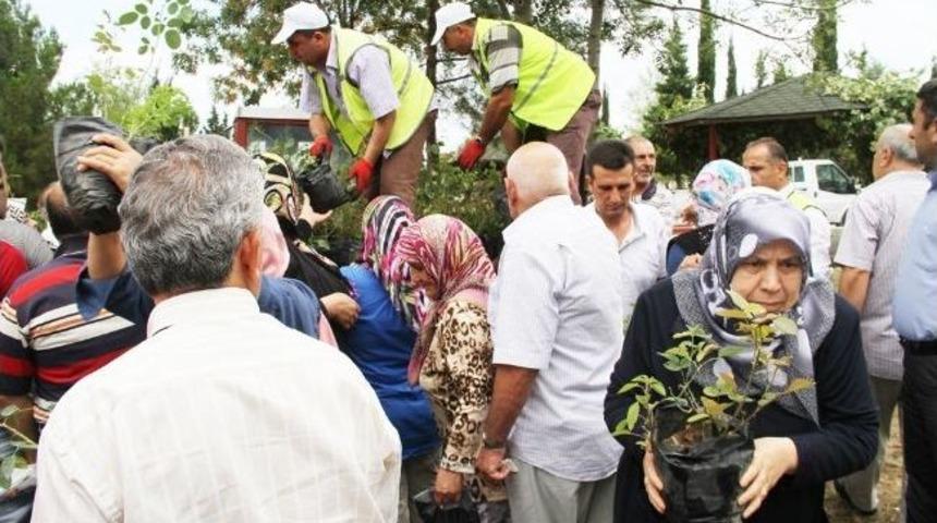 İlkadım'dan &Uuml;cretsiz Fidan Dağıtımı