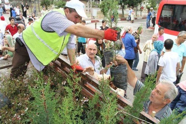 İlkadım'dan Ücretsiz Fidan Dağıtımı