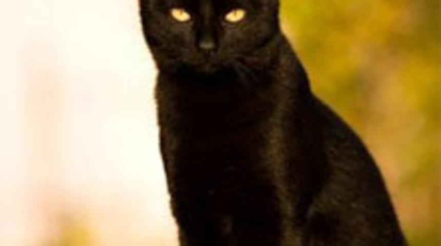 Yaygın Batıl İnan&ccedil;lar