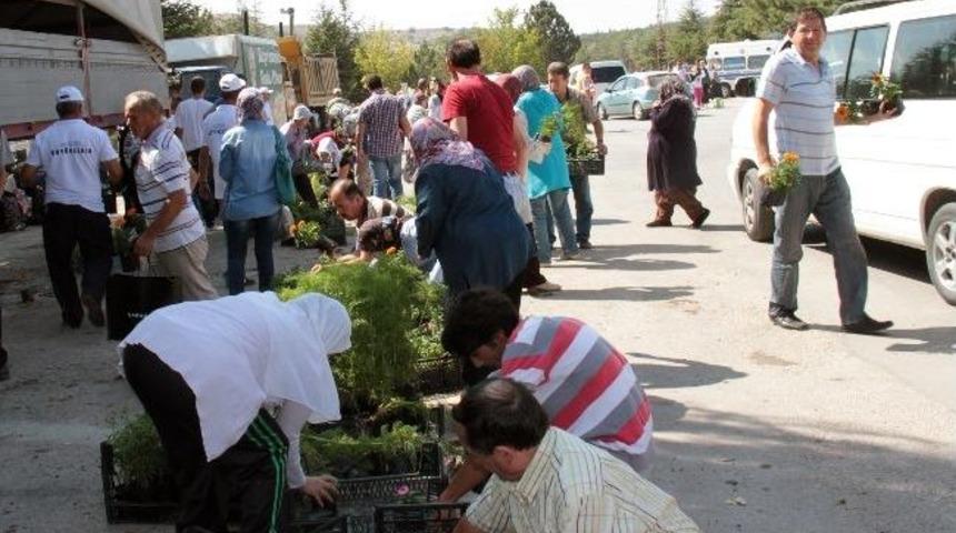 Kabir Ziyaretlerinde &Ccedil;i&ccedil;ekler B&uuml;y&uuml;kşehir Belediyesi&rsquo;nden