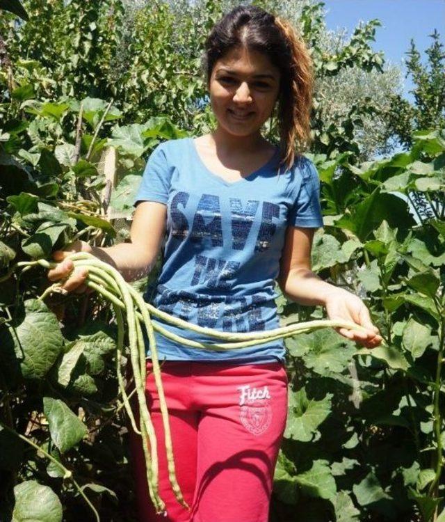 Genç Kız Yok Olmak Üzere Olan Endaze Börülcesini Yaşatmaya Çalışıyor 1