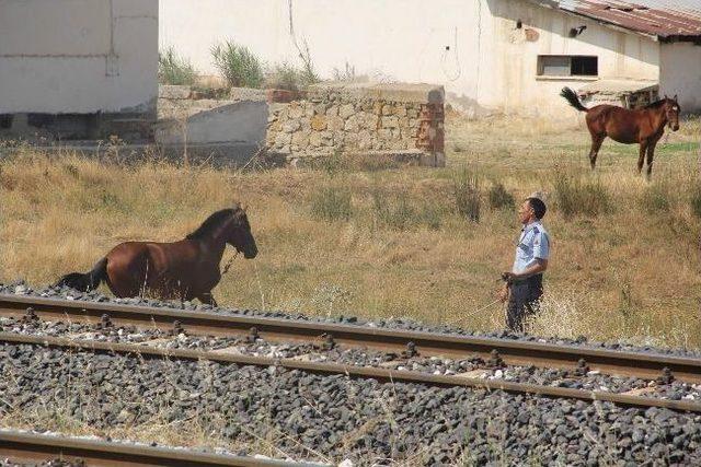 Afyonkarahisar’daki Ot Yangını Korkuttu